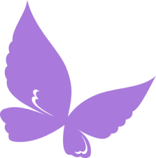 Image result for purple butterfly