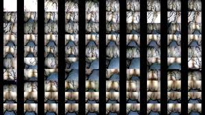 Phatt catt - XNXX.COM