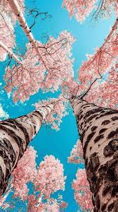 Nature Wallpaper Nature Wallpaper Hd Nature Wallpaper Mobile Nature Wallpaper Android Nature Wallpaper Samsung Galax Nature Wallpaper Nature Nature Photography