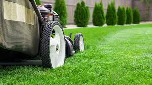 Do i legally have to mow my lawn? How Much Does Lawn Mowing Cost In Naples Florida Eden