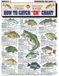 Crappie Cheat Sheets Bass Fishing Tips Fish Chart