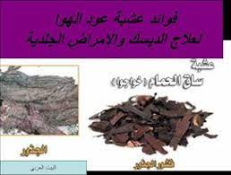 فوائد عشبة عود الهوا لعلاج الديسك والامراض الجلدية learning graphic design healing blog posts