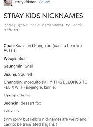 Chan S Nickname I M Calling Him Koala From Now On Kid Memes Stray Kpop Funny