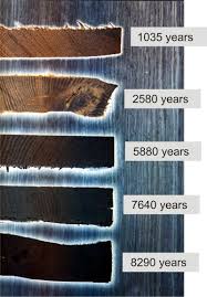 Morta Color Based On Age Bog Wood Wikipedia Wood Sand And Gravel Bogs