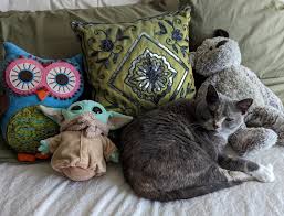 Lori Caskey-Sigety (@LoriCSigety)