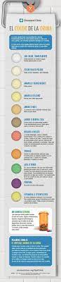 El Color De La Orina Puede Ser Una Senal De Enfermedad En Esta Entrada Vamos A Citar Algunos Factores Que Hace Color De La Orina Consejos Para La Salud Salud