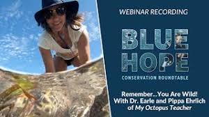 Director of my octopus teacher. Dr Sylvia Earle Talks With Pippa Ehrlich My Octopus Teacher Co Director Youtube