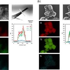 SEM‐EDX analysis of (a) PMPSAM‐TNTs and (b) PMPSAM‐TNPs. Left: mapping...