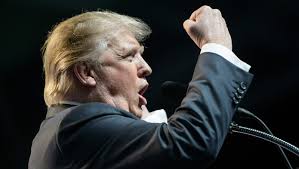 Love Donald Trump? Looking for love? This is the place for you