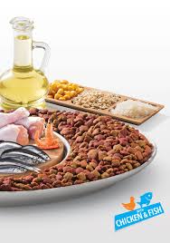 Mito Kedi Mamasi Cagatay Pet Food Turkiye