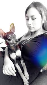 Esta noche mi corazón está triste, nuestra hermosa Poppy partió  inesperadamente al cielo de los perritos, estamos muy afectados y con mucha  pena, pero la tranquilidad que fue feliz y amada, solo ...