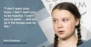 Image result for greta thunberg meme