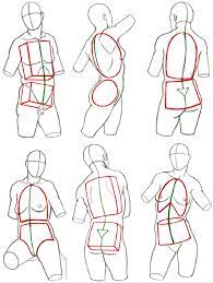 The internal human organ, anatomical structure. Structures And Planes Of The Figure Classic Human Anatomy In Motion The Artist S Guide To The Dynamics Of Figure Drawing