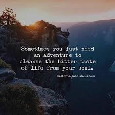 Where the wild things are. 50 Nature Quotes Perfect Natural Beauty Captions Capture Now