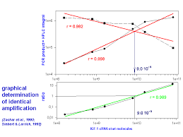 Bioinformatics - Pcr Efficiency In Real-Time Pcr