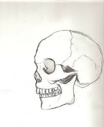 Disegno Di Un Teschio Disegni Tridimensionali Oscurare Con La Matita Disegni A Matita Disegni Disegni A Matita Facili