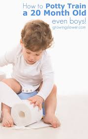 How To Potty Train A 20 Month Old Yes Even Boys Potty Training Girls Starting Potty Training Potty Training Boys