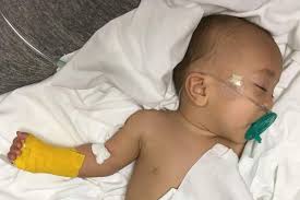 Fundraiser for Analaine Mailoto by Maddy Freeman Pelaez : Baby Takai Needs  Help