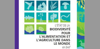 Dans la préface de votre ouvrage, l'agronome claude aubert explique que l'agriculture conventionnelle ne peut pas nourrir le monde. La Fao Fait Etat De La Biodiversite Pour L Alimentation Et L Agriculture Dans Le Monde Academie D Agriculture De France