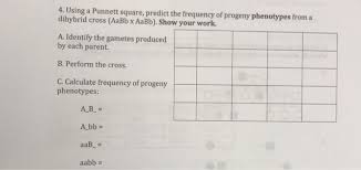 A punnett square is a grid for organizing genetic information. 4 Using A Punnett Square Predict The Frequency Of Chegg Com