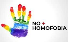 Do grego, a palavra homofobia é formado pelos termos homo (semelhante, igual) e fobia (medo, aversão), que significa aversão às relações semelhantes. Homofobia Movilh Chile