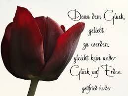 Liebesgedichte Und Spruche Zum Geburtstag Schone Gedichte Der Liebe Liebesgedicht