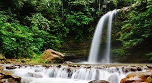 Air terjun bogor yang sedang hits di kalangan traveler dengan pemandangan curug sangat indah airnya deras, bersih dingin suasananya sejuk bisa buat renang. Penawan Waterfalls Ecotourism Park Sarawak Hidden Paradise Bombastic Borneo