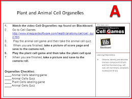 1 Watch The Video Cell Organelles Rap Found On Blackboard 2 Open The Chalkboard App On The Ipad 3 Write Your Name In The Top Right Hand Corner Of Ppt Download
