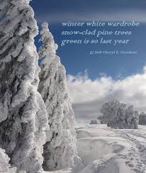 Winter White Wardrobe Snow Clad Pine Trees Green Is So Last Year By Cheryl Crockett 2018ceh Haiku Poem Cherylsever Evergreen Winter White White Wardrobe