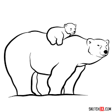 Check spelling or type a new query. Polar Bear Archives Sketchok Easy Drawing Guides