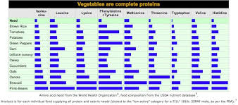 Image Result For Vegetarian Amino Acids Veg Life Vegan