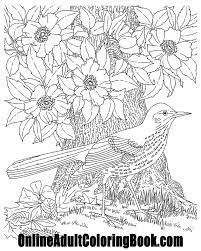 Pin On Free Adult Coloring Pages