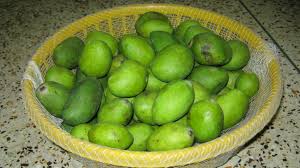 Very sweet with fiberless pulp. 24 Varieties Of Mangoes In India Where To Find Them