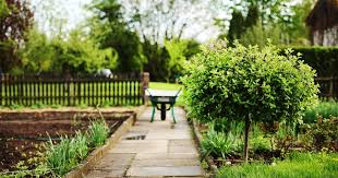 Was sie als mieter des einfamilienhauses mit garten nicht dürfen, ist: Schadet Ein Weg Um Den Baum Seinen Wurzeln Baumpflegeportal
