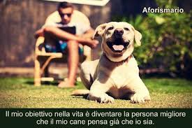 A dare notizia della morte dell'animale è enrico rizzi, fondatore e presidente del nucleo operativo italiano tutela animali. Aforismario Aforismi Frasi E Citazioni Su Cane E Padrone