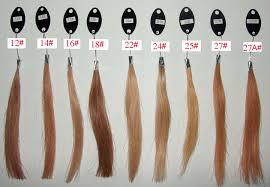 Human Hair Color Chart Full Lace Wigs Lace Front Wigs