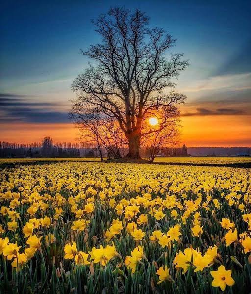 G�n�n resmi 24.02.2020