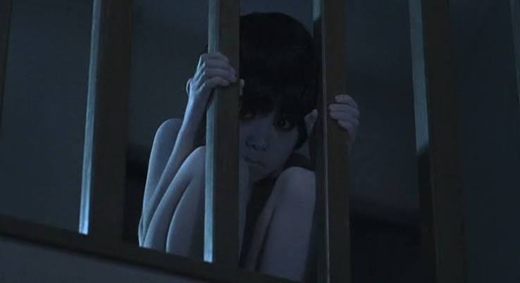 Horror Queers] Lost and Isolated as a Queer Metaphor in 'The Grudge' (2004)  - Bloody Disgusting
