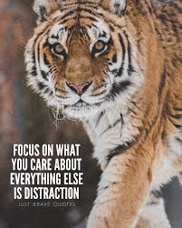 Focus Is Helpful In Any Kind Of Situation If You Re Trying To Reach Your Goal And Are Focused On It That Ma Tiger Quotes Focus Quotes Focus Quotes Motivation