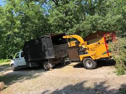 Doing business as:midwest complete tree service llc. Tree Services Removal Trimming More Maple Grove Plymouth Chaska Minnetonka Mn