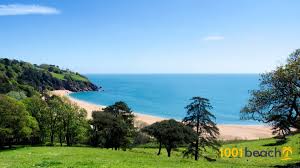 Very good , safe service and food was excellent. Blackpool Sands Beach