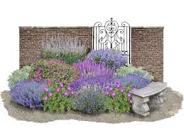 Sinfonie In Blau Pink Pflanzen Pflanzplan Garten