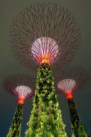 Supertree Grove And Gardens By The Bay Singapore Singapur Urlaub Wundervolle Orte
