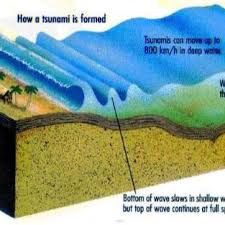 Temuan tersebut mengubah persepsi dan pemodelan ilmiah tentang kecepatan gempa bumi. Gambar 1 Mekanisme Tsunami Yang Dipicu Oleh Gempa Bumi Rais 2006 Download Scientific Diagram