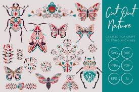 This beautiful papercut butterfly wall art is sure to be a conversation piece in your home. Butterflies And Beetles Svg Bundle 62718 Illustrations Design Bundles Butterflies Svg Graphic Design Resources Free Graphics