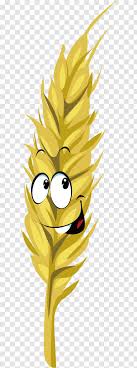 Wheat Cartoon Drawing Royalty Free Mythical Creature With Expression Transparent Png Download this vector wheat, wheat vector, wheat, hand painted png clipart image with transparent background or psd file for free. pnghut com