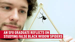 SFU MPM & PhD graduate explores an unknown ‘spiderverse’