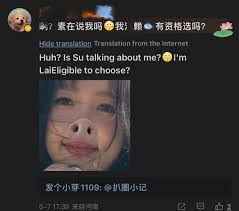 Heboh di weibo penyerangan kekerasan internet kepada Yu Shuxin oleh  penggemar #ZhaoLusi, yang awalnya sempat tenang akhirnya saling berbalas  pantun. Awal perkara oleh penggemar Lusi menyerang brand Chando pada kedua  produk series