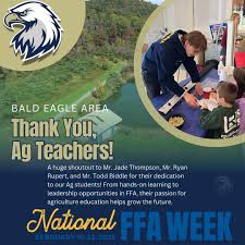 Bald Eagle Area School District