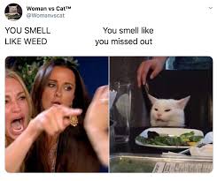 People are using to express tons of funny opinions, here are the best. Best Woman Yelling At Cat Memes 28 Of The Funniest Examples Ever
